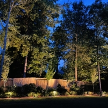 image12